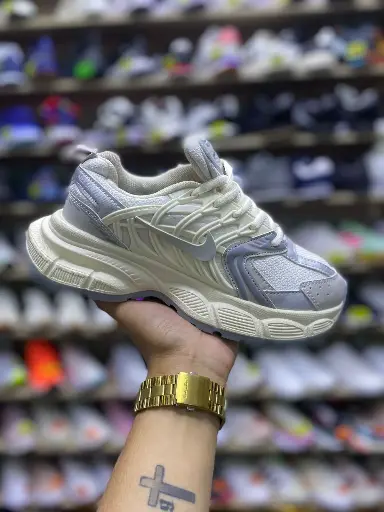Nike Skate Beige Gris